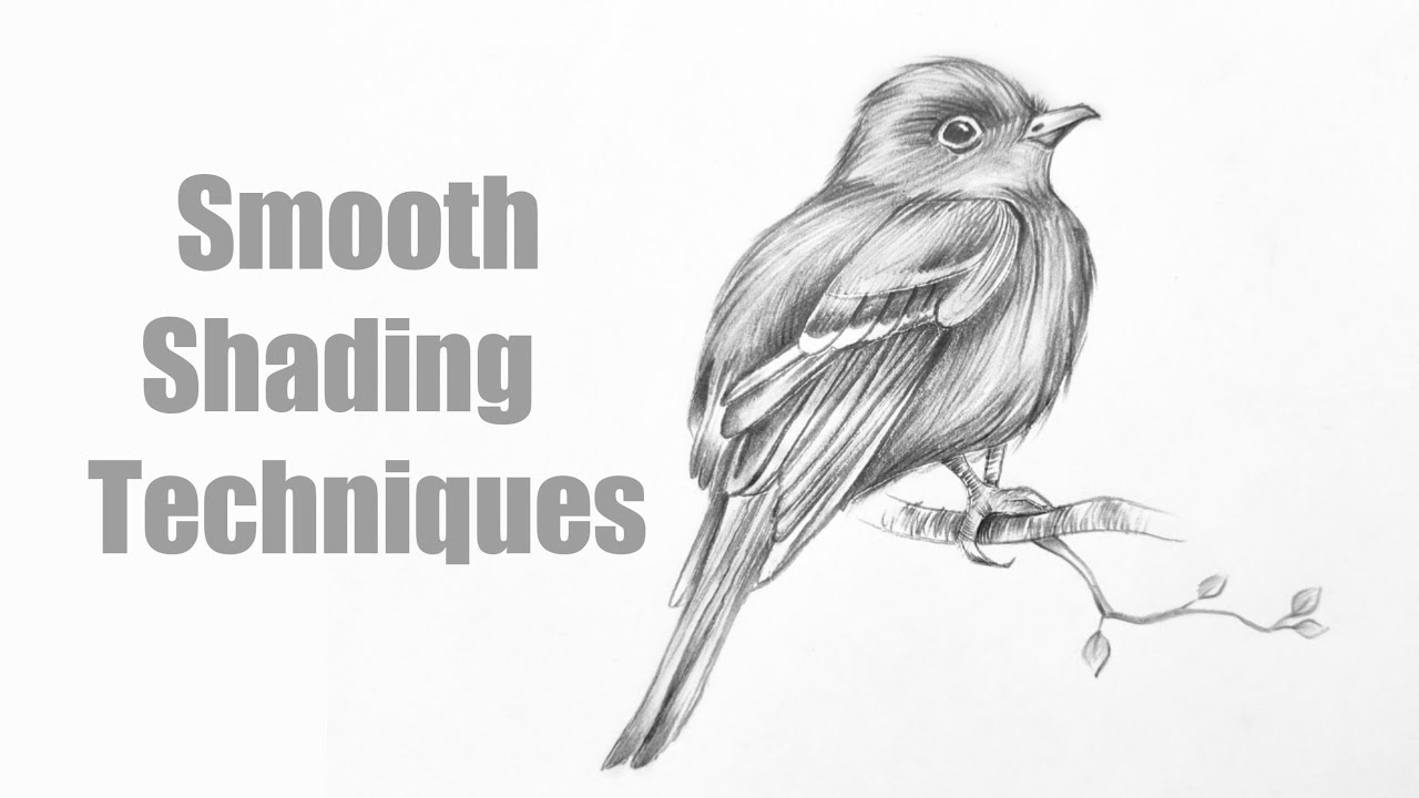 How to draw a bird/Easy and beautiful bird drawing /easy ...