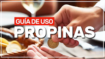 ¿Cómo se llama la propina en España?