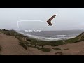 Hang Gliding Above the Ocean in 360º