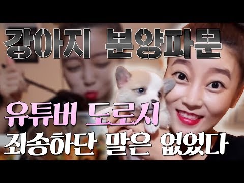 326만 유튜버 도로시 <strong>강아지</strong> 사건 총정리! 전문브리더? 펫샵? <strong>단미</strong>?