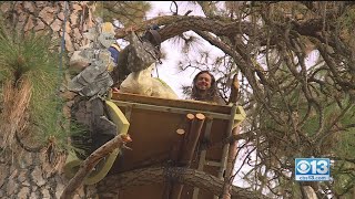 Tree-Sitters Take On PG&E In Nevada City