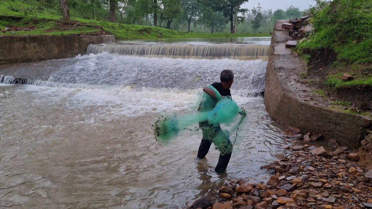 monsoon season fishing : A unique fishing experience in the jungle fishing || net fishing video [4k]
