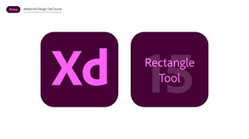 Rectangle Tool in Adobe Xd (Every Properties Explained)
