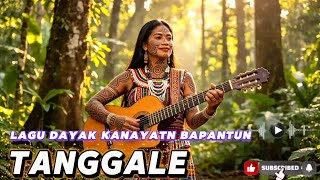TANGGALE Lagu  Dayak Kanayatn Bapantun || Versi Yonas Panampe @FREYANOFFCIAL