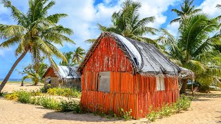 TONGA HOLIDAY 2019