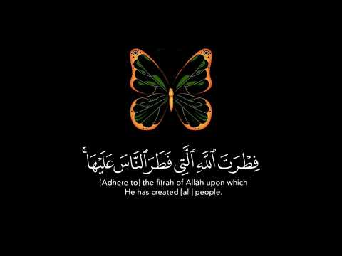 سوره الروم حالات واتس اب وانستجرام قرآنيه قصيره 