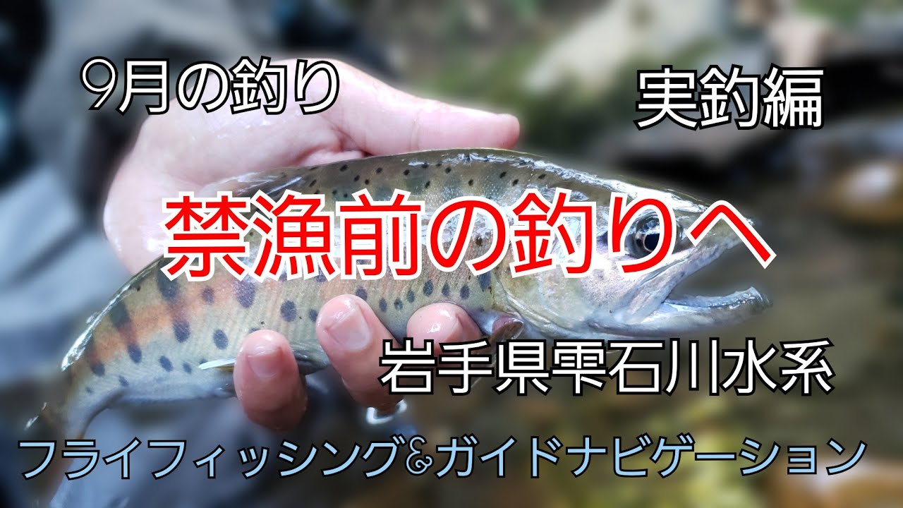 禁漁前の釣りへ 実釣編 岩手県雫石町 雫石川水系 9月の釣り フライ