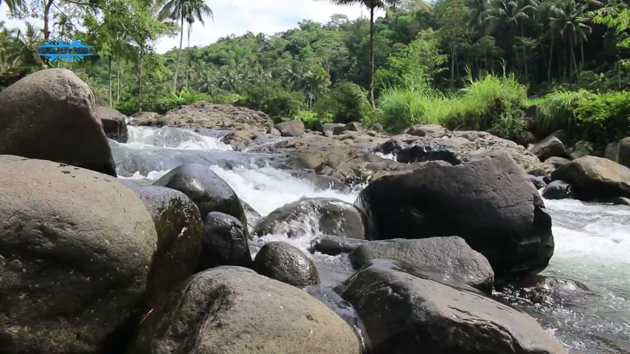 Relax and Unwind with River Sounds and Birdsong ASMR 💧🐦😌🌿