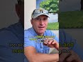 how to fix any local business #shorts