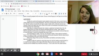 Writing Flash Draft