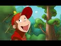 Sprout Adventure 🐵 Curious George 🐵 Kids Cartoon 🐵 Kids Movies