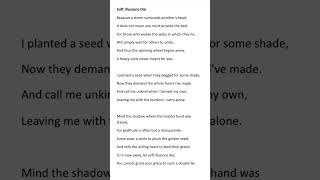 Soft Illusions Die #poem #poemandpoetry #poetry #poems #poetrystatus #poetrylovers #poetrycommunity