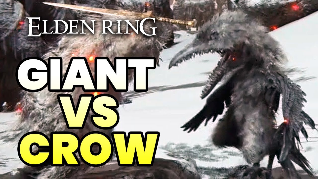 Elden Ring CROW vs GIANT Who Wins? YouTube