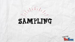 AUDIT PLANNING & FIELDWORK - RISK & SAMPLING