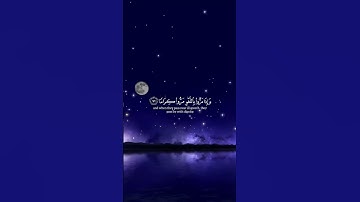 اكتب شيء تأجر عليه💚| ارح قلبك 🕊️ | تلاوة هادئة تذيب القلوب |( القارئ محمد اللحيدان) #quran #قرآن