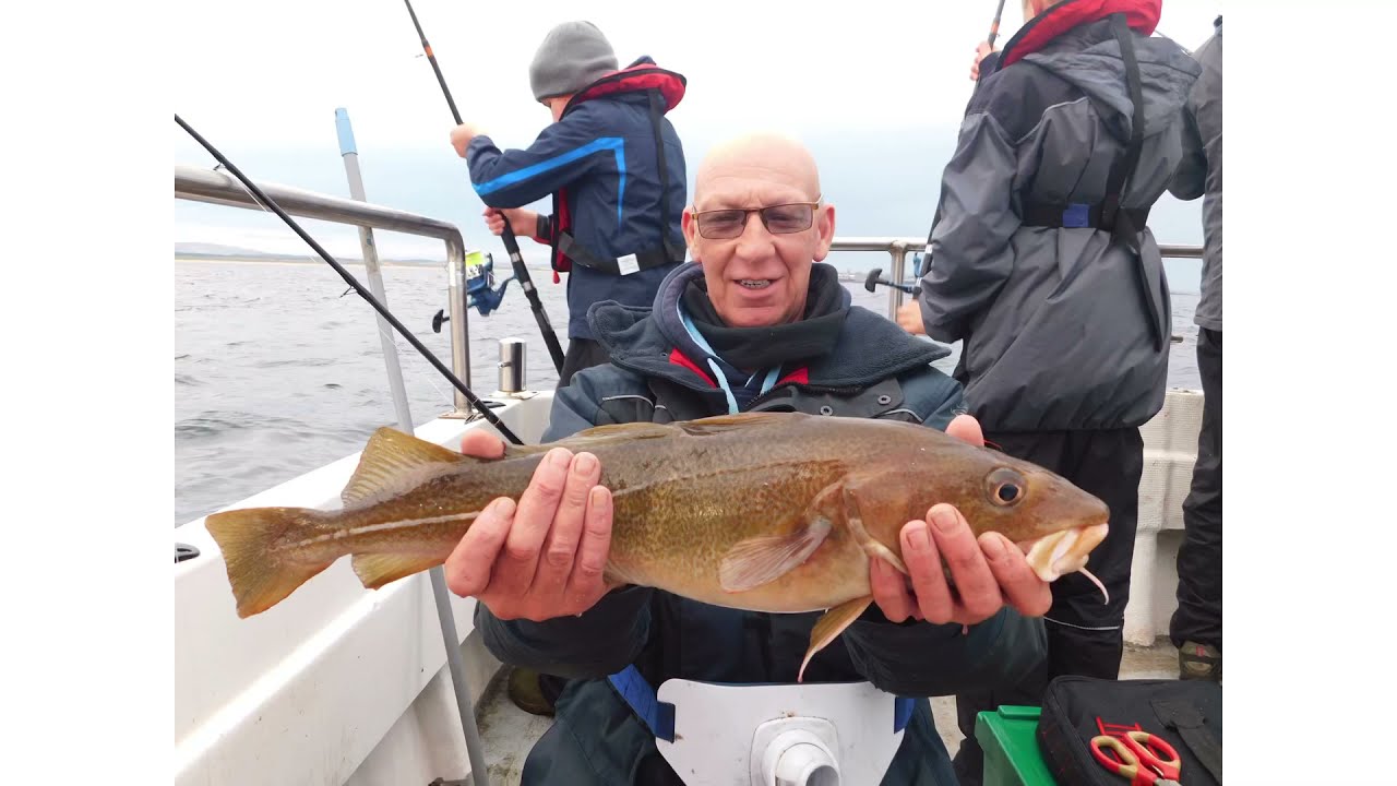 Fishing trips on Rachel May a 40ft Procharter P4 