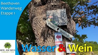 Wir, am Weg Community Trail - Beethoven Rundwanderweg Etappe 1 - Wandern in Niederösterreich