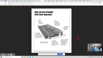Week 3 OSSLT Prep - Reading a Graphic Text and Real Life Narrative