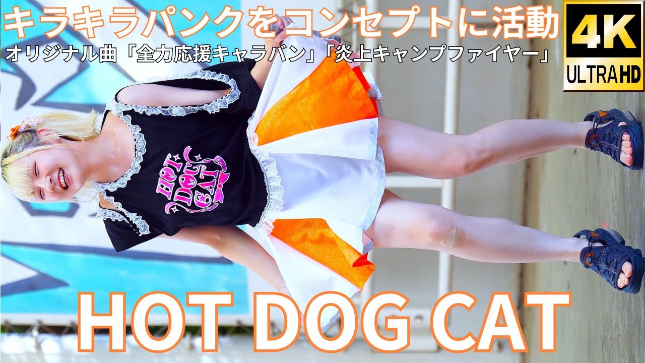 【3点セット】THE IDOL CAT アイドル キャット レッド ①【4K/60p】HOT DOG CAT（Japanese idol group）『IDOL Treasure