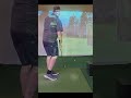 Nice Birdie!