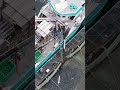 The Life of Fish: 30 Seconds of Cruelty