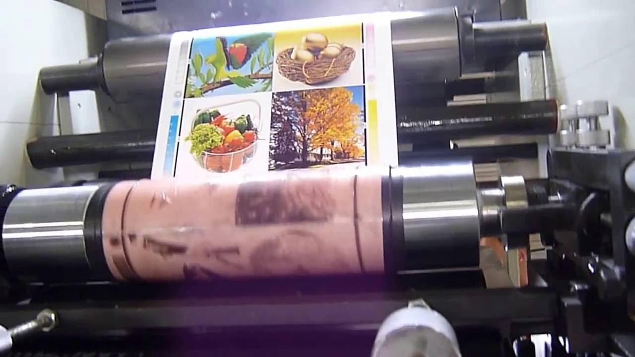 RY320model sticker label Flexo printing machine