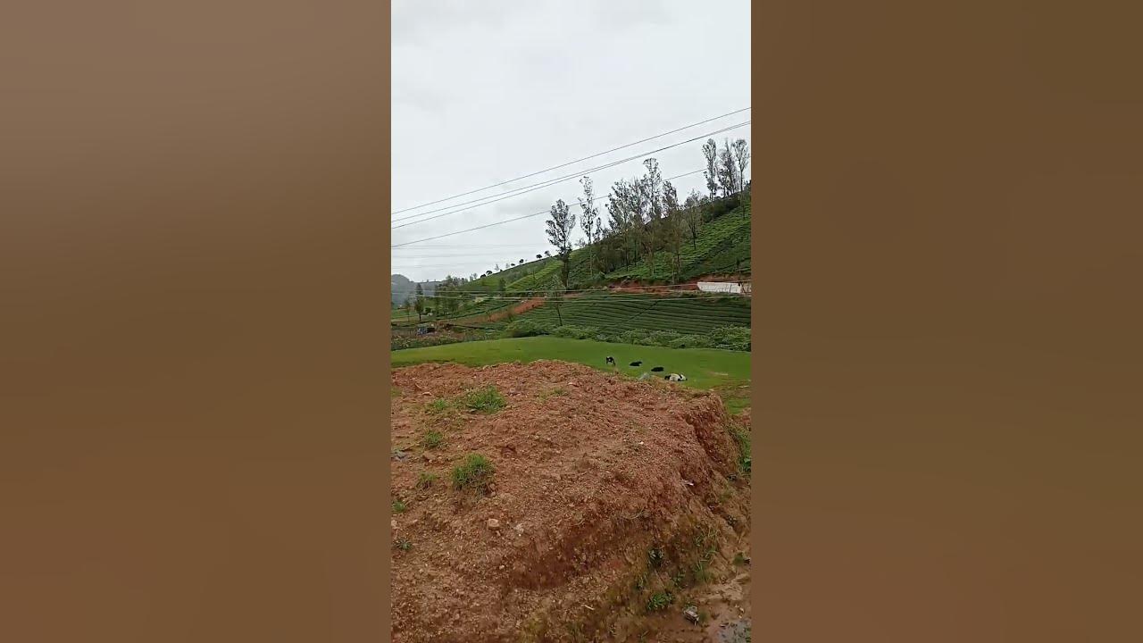 60-k-per-cent-in-ooty-total-81-cent-from-ooty-19-km-tar-road-side