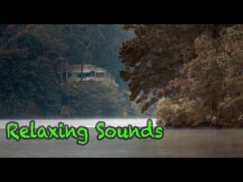 Rain Sounds | The Sound of Rain Meditation,Autogenc Training, Deep Sleep,Relaxing Sounds| 1 Hours