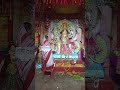 মা মনসা পূজা