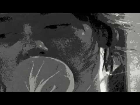 Lula - Cult Song