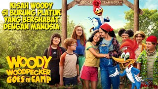 Kisah Burung Platuk Yang Bersahabat Dengan Manusia | Alur Cerita Film Woody Woodpecker Goes to Camp