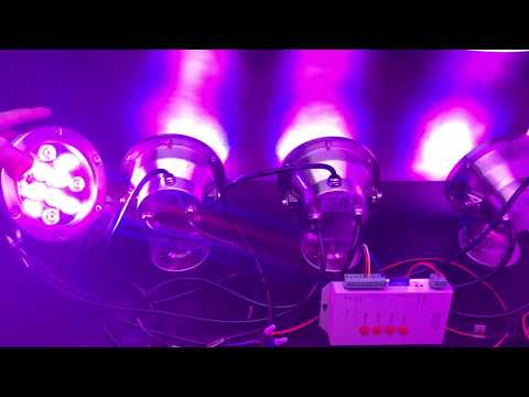 How to use T-1000S control DC24V 12Watt DMX512 Waterproof IP68 LED underwater lights