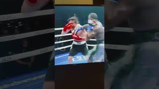 Vicious Uppercut Knockout