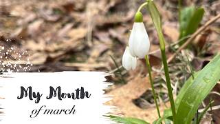 My Month of March | 2026