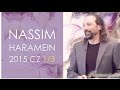 Nassim haramein 2015 13  the connected universe and the new view of vacuum