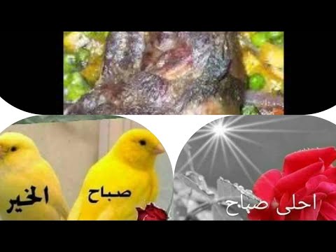 موزة جاموسي وتحضيرات العيد كل عام وانتم بخير وعيد سعيد