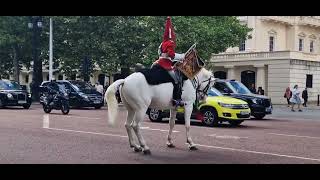 The long guard waites for a visial on the blues and royals. tells tourist to move #thekingsguard