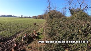 Ma plus belle vidéo YOUTUBE chasse aux sangliers !!! 2021