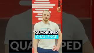 Quadruped Challenge #2 (Intermediate Quadruped)