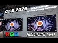 NEW TCL SQD-MINI LED, QM6L, QM7L, QM8L INFO CES 2026