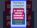 12- Projects Portfolio Scheduling &amp; Prioritizing