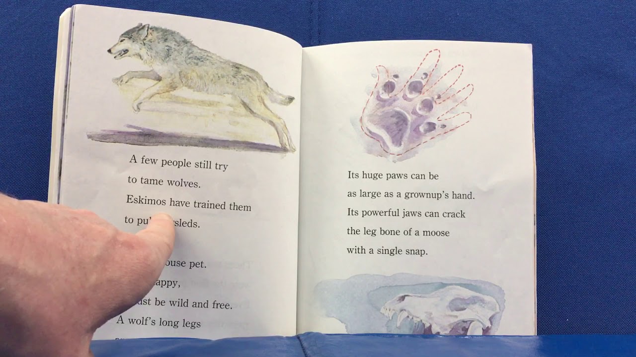 Watch Story Time - Wild, Wild Wolves on YouTube Watch Story Time - Wild, Wild Wolves on YouTube