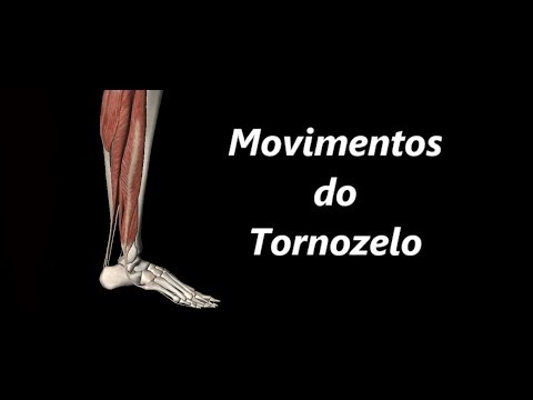 Vídeo: Qual músculo faz a dorsiflexão do pé?