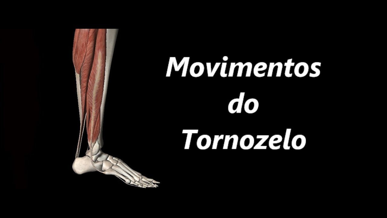 Movimentos do Tornozelo em 3D