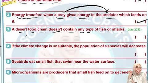Grade 5 | Lesson 2 | Concept 3 | Unit 1 | Energy flow model | حل اسئلة الدرس  الثاني