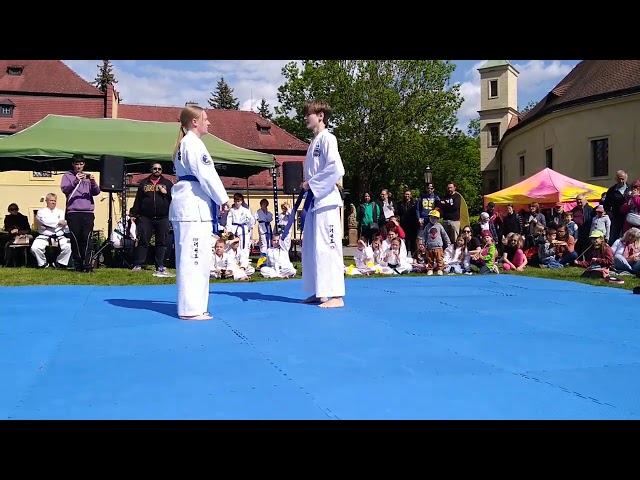 VID 20250517 154535