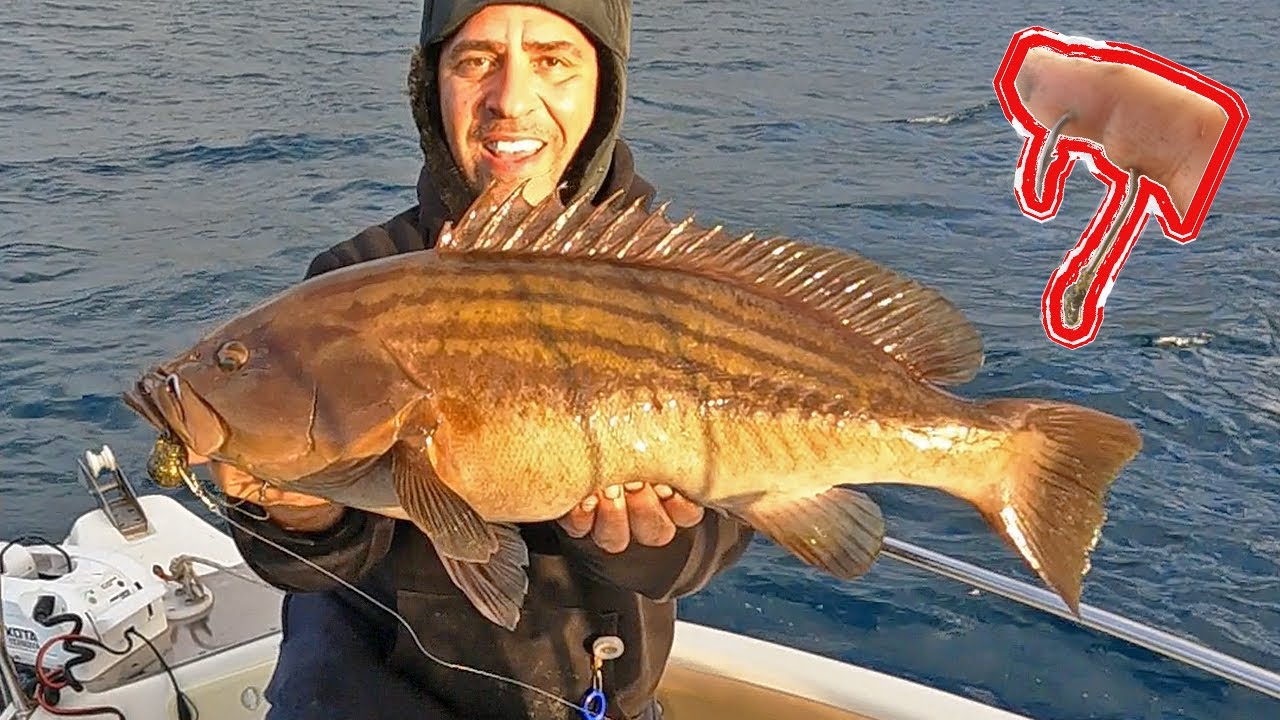 ΑΙΜΑΤΟΒΑΜΜΈΝΟ ❌ ΨΑΡΕΜΑ για ΓΕΡΆ ΝΕΥΡΑ | ΠΟΛΎ ΨΑΡΙ 🤯 ΜΕ ΚΑΡΦΩΣΕ ΑΓΚΙΣΤΡΙ + ΣΥΝΕΧΙΣΑ | ZAVRAS FISHING