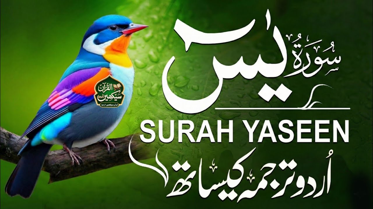 Surah Yaseen Full Recitation | Heart Touching Quran with Urdu Translation | Peace & Healing