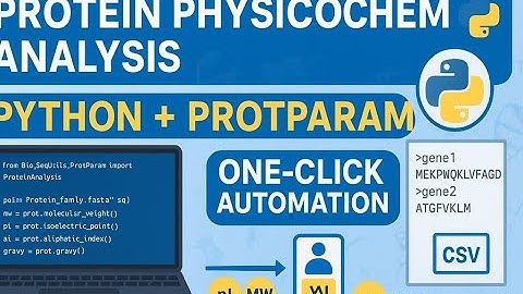 Python + ProtParam for Analyse Protein Physicochemical Properties | One-Click Automation Tutorial
