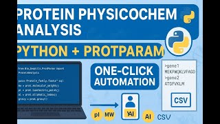 Python + ProtParam for Analyse Protein Physicochemical Properties | One-Click Automation Tutorial